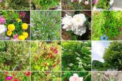 WhatsApp-Image-2025-07-13-a-17.08.26_670f4fb0