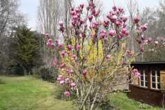 WhatsApp-Image-2025-07-13-a-21.36.34_e1d3c58d