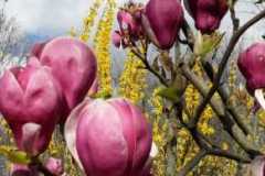 WhatsApp-Image-2025-07-13-a-21.36.35_f6160668