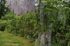 WhatsApp-Image-2025-07-13-a-22.13.30_5ce41bec