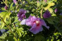 WhatsApp-Image-2025-07-13-a-22.21.13_40ffc2c8