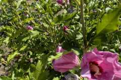 WhatsApp-Image-2025-07-13-a-22.21.13_a92f3725