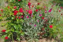 WhatsApp-Image-2025-07-13-a-22.47.36_dff7d417