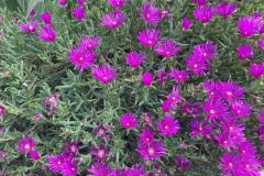 WhatsApp-Image-2025-07-14-a-02.18.15_e3382046